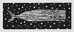 #1031 ~ McKinnon - WHALE