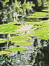 #1055 ~ Wollman - Lily Study [at Dusk]