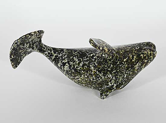 #1102 ~ Aipeelee - Untitled - Beluga Whale