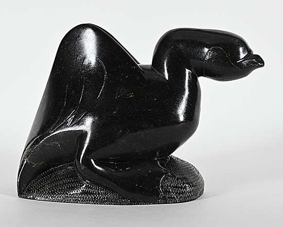 #1170 ~ Elijassiapik - Untitled - Stern Goose