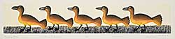 #1130 ~ Ashevak - Marching Gulls  #18/50