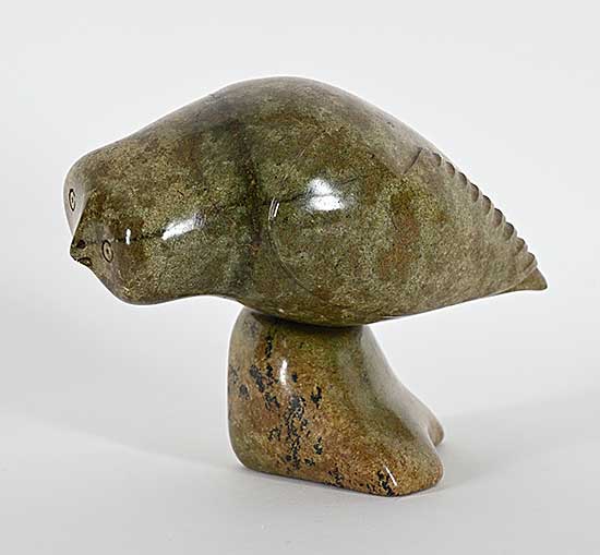 #1257 ~ Killiktee - Untitled - Perched Owl