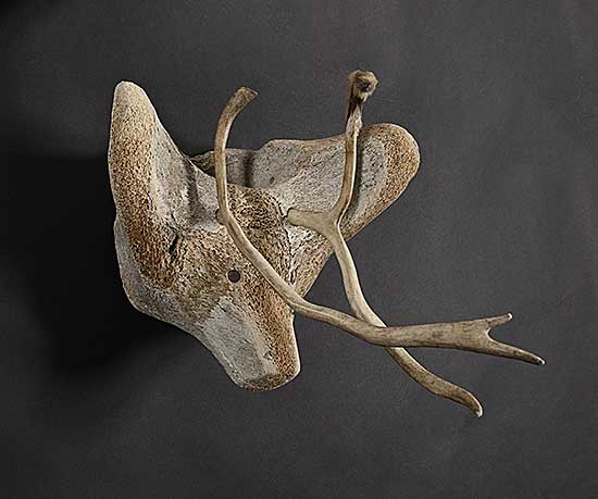 #1371 ~ School - Untitled - Animal Form with Antlers