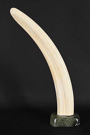 #1385 ~ School - Untitled - Walrus Tusk