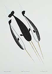 #1306 ~ Panipak - Diving Narwhals