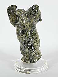#1307 ~ Papigatok - Untitled - Dancing Bear