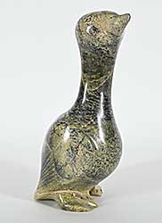 #1313 ~ Peter - Untitled - Long Neck Bird