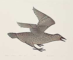#1325 ~ Pootoogook - Raven  #46/50