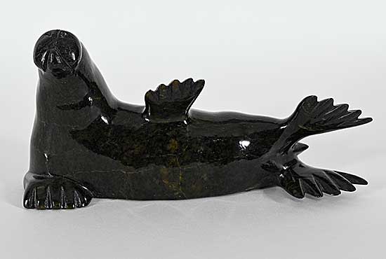 #1397 ~ Shaa - Untitled - Baby Walrus