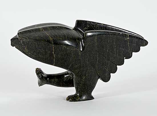 #1404 ~ Sharky - Untitled - Angry Bird