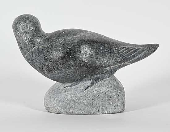 #1411 ~ Sivuarapi - Untitled - Bird Perched on Rock