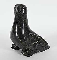 #1396 ~ Shaa - Untitled - Young Eagle