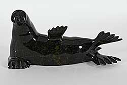 #1397 ~ Shaa - Untitled - Baby Walrus