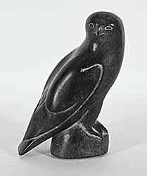 #1409 ~ Sivuak - Untitled - Surveying Hawk