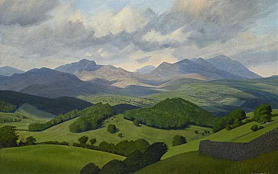 #49 ~ Brooke - Dunnerdale Fells, Cumbria