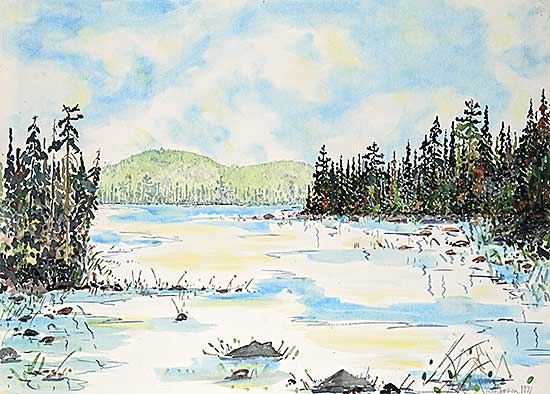 #68 ~ Cameron - Untitled - Northern Landscape