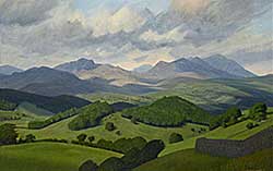 #49 ~ Brooke - Dunnerdale Fells, Cumbria