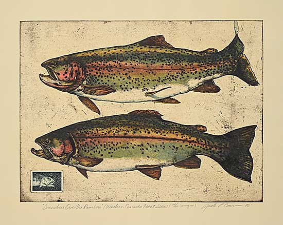 #85 ~ Cowin - Somewhere Over the Rainbow [Western Canada Trout Series]  #42/50 [Unique]