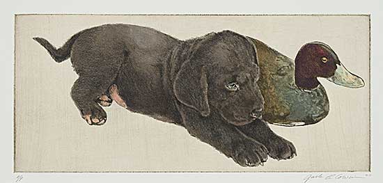 #87 ~ Cowin - Black Lab with Ruddy Decoy  #A/P