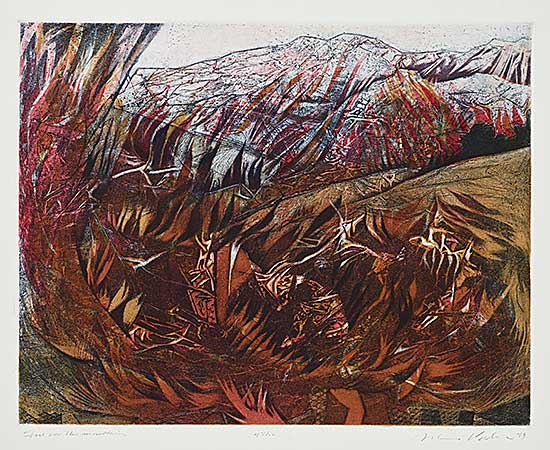 #122 ~ Esler - Fire on the Mountain  #47/50