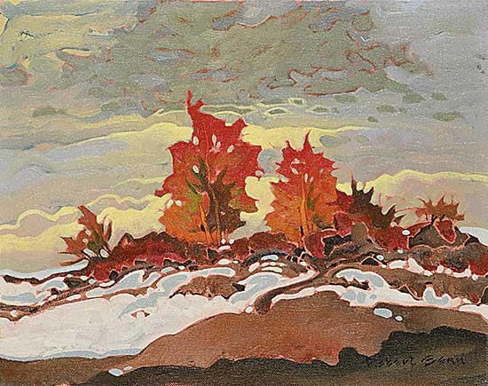 #141 ~ Genn - Vine Maple and Blow