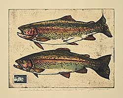 #85 ~ Cowin - Somewhere Over the Rainbow [Western Canada Trout Series]  #42/50 [Unique]