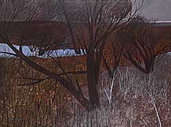 #133 ~ Flodberg - Wild Place