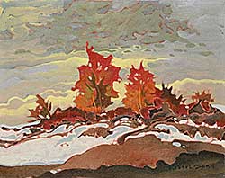#141 ~ Genn - Vine Maple and Blow