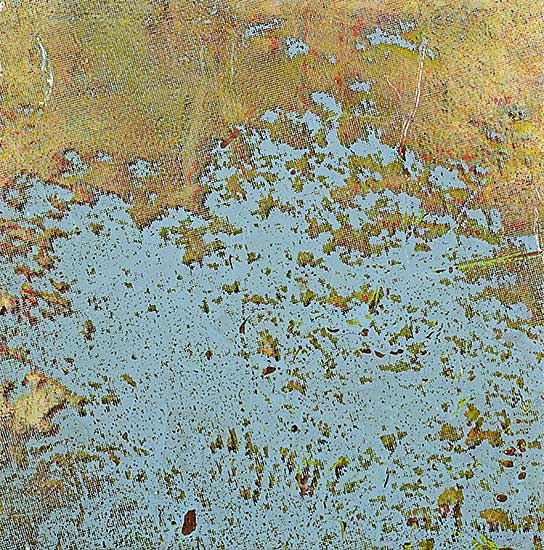 #160 ~ Harms - Untitled - Tree Top in Green and Blue
