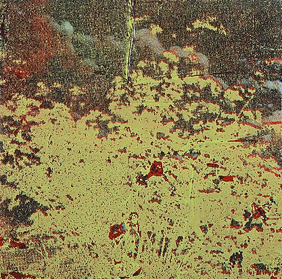 #161 ~ Harms - Untitled - Tree Top in Green and Red