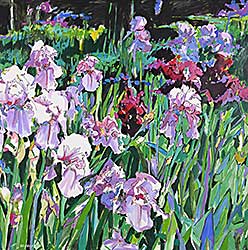 #183 ~ Jacques - Untitled - Purple Garden