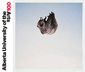 #195 ~ Kanwischer - Falling  #8/30