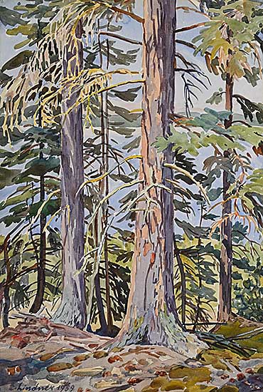 #240 ~ Lindner - Untitled - Timber and Light
