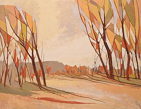 #243 ~ Lindoe - Untitled - Trees and Shadows