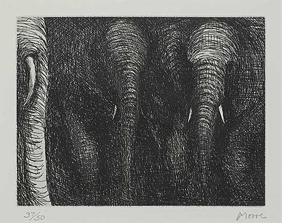 #276 ~ Moore - Elephants  #37/50