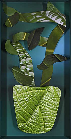 #279 ~ Munar - A Bouquet from Costa Rica