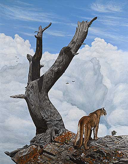 #296 ~ Olson - On the Ridge - Crowsnest Cougar