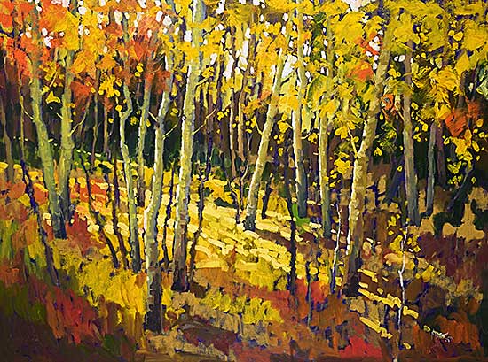 #301 ~ Patterson - Light in the Aspens