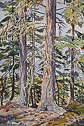 #240 ~ Lindner - Untitled - Timber and Light