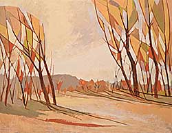 #243 ~ Lindoe - Untitled - Trees and Shadows