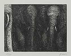 #276 ~ Moore - Elephants  #37/50
