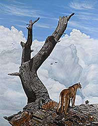 #296 ~ Olson - On the Ridge - Crowsnest Cougar