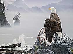 #297 ~ Olson - Pride of the Pacific Rim [Bald Eagle]