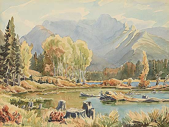#335 ~ Shelton - Untitled - Mountain View
