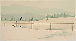 #338 ~ Shepherd - Snow and Black Crows  #51/55